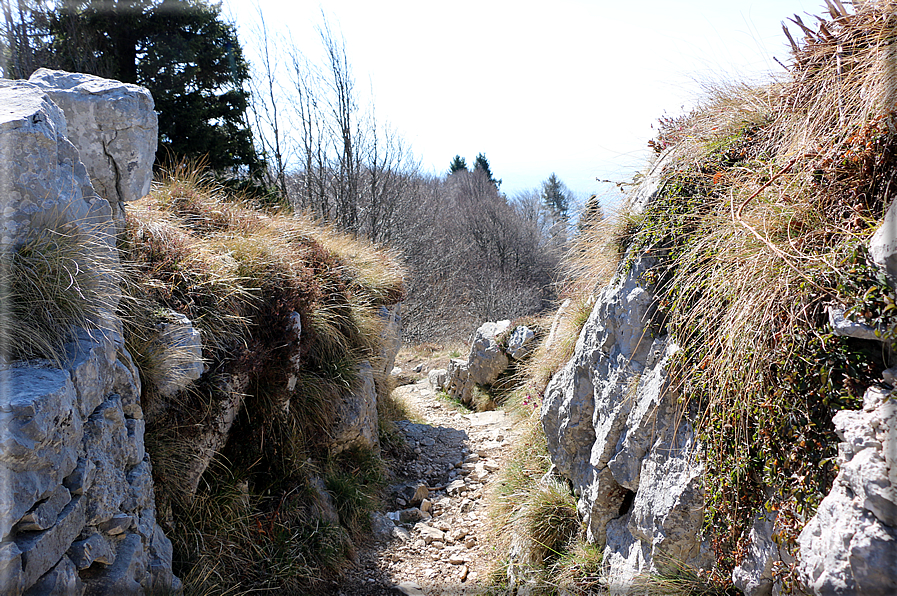 foto Monte Cengio